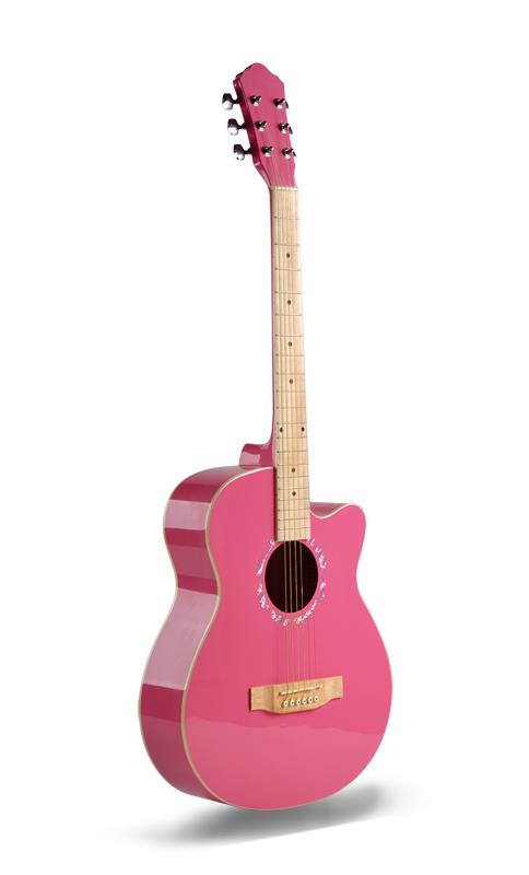 Beginner Acoustic Guitar