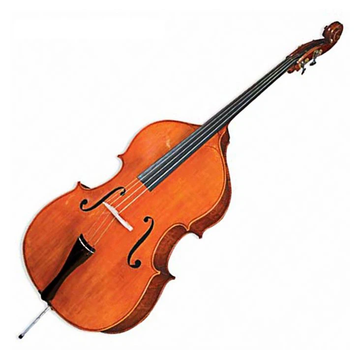 Contrebasse