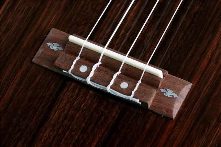 Popular Gloss Ebony Ukulele With Abalone Binding
