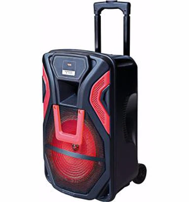 Haut-parleur DJ 15 pouces